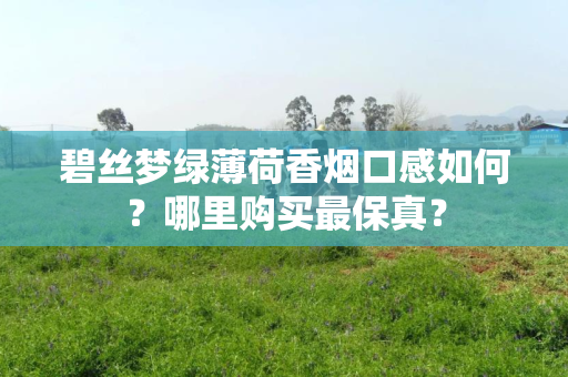 碧丝梦绿薄荷香烟口感如何？哪里购买最保真？